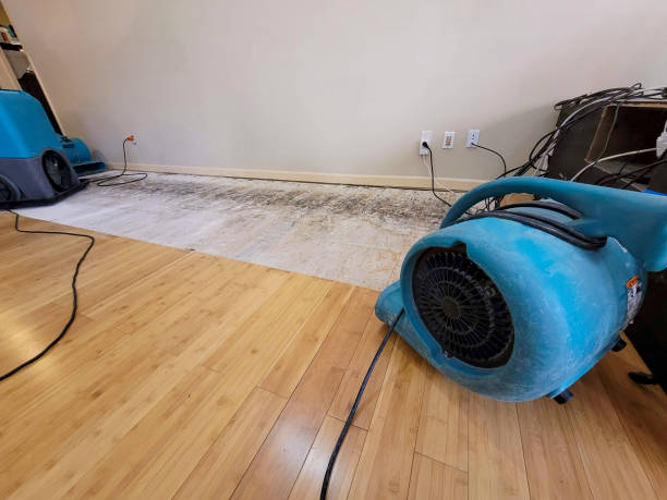 Professional Water Damage Repair technician working in Pattison, MS